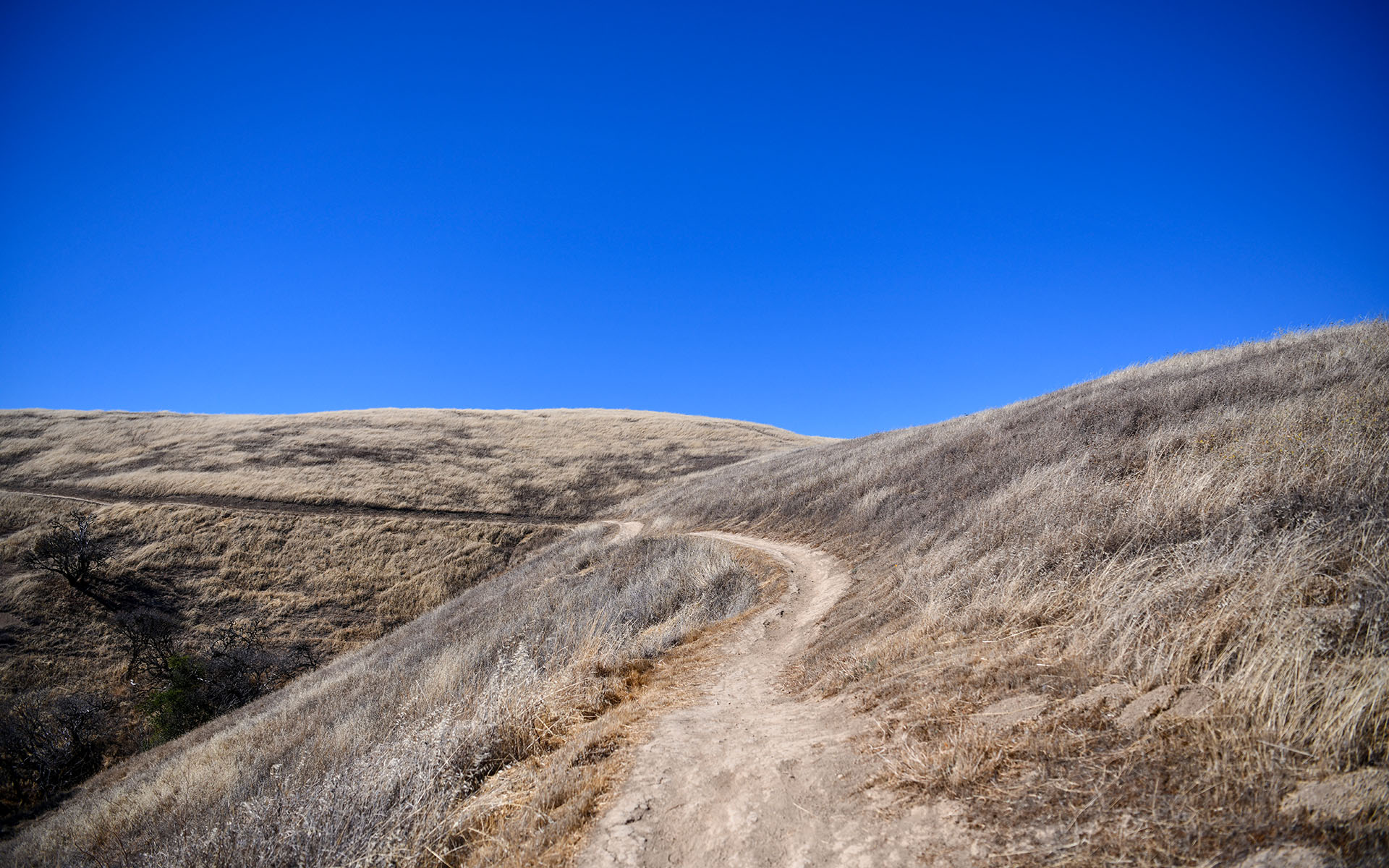 2022.08_Russian-Ridge-Open-Space-Preserve_Redwood-City_California_USA_05