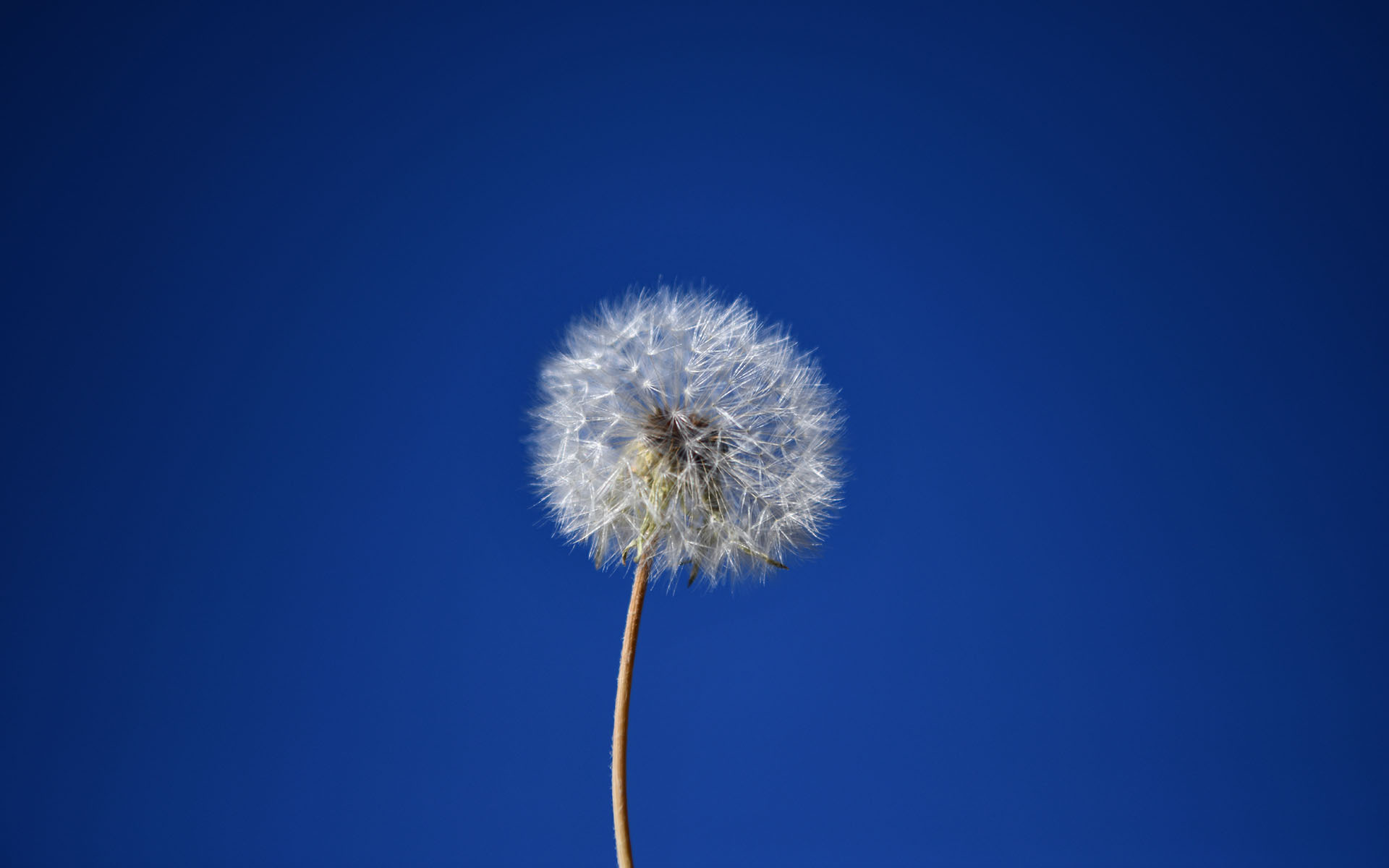 2022.08_Russian-Ridge-Open-Space-Preserve_Redwood-City_California_USA_09