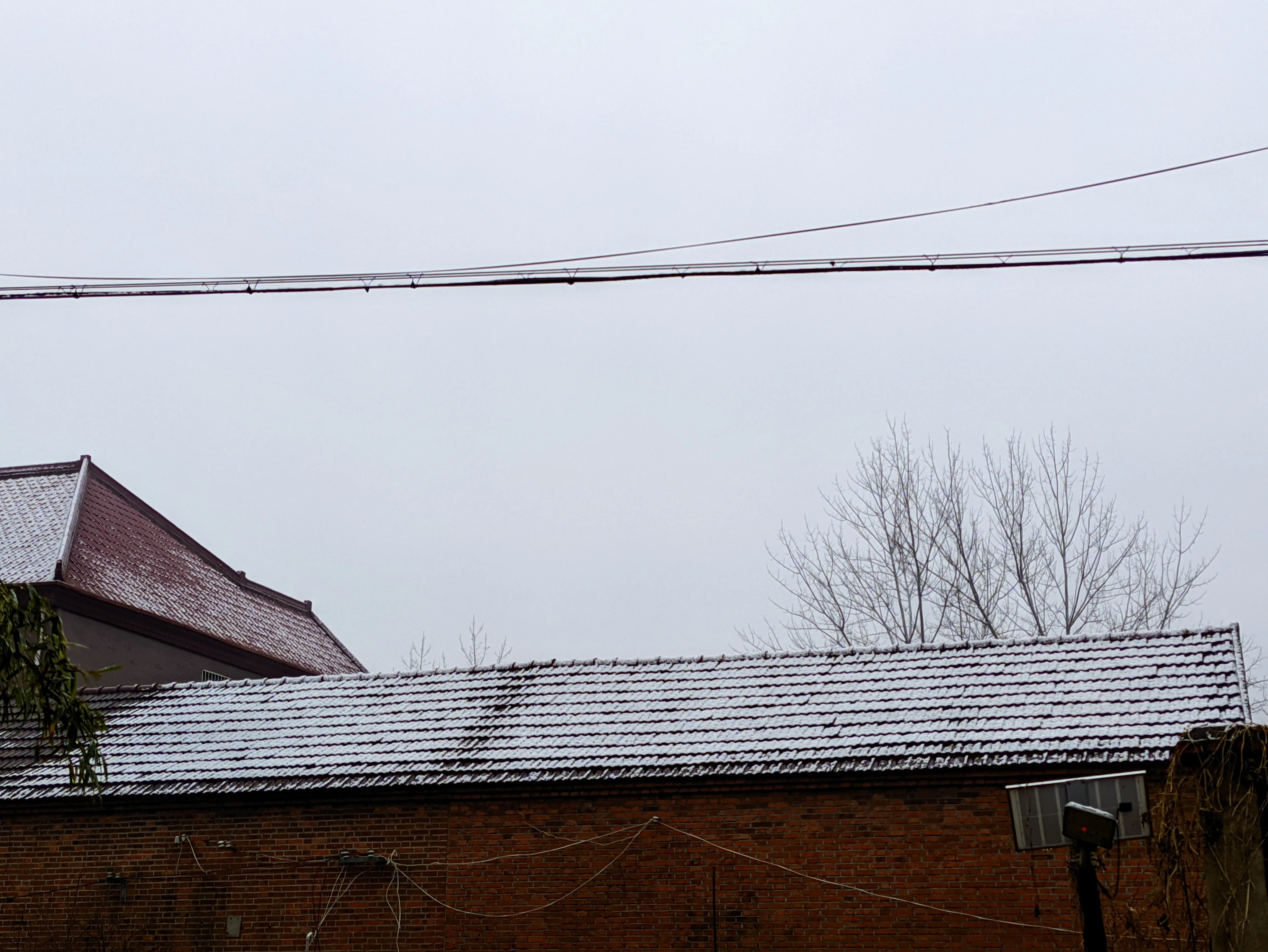 Cover Image of the Post