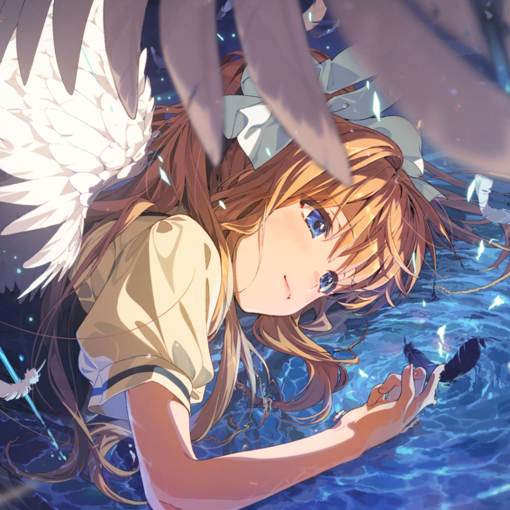 Cover Image of the Post