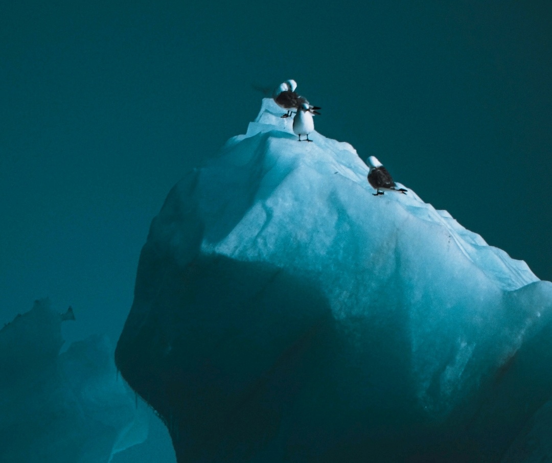 Cover Image of the Post