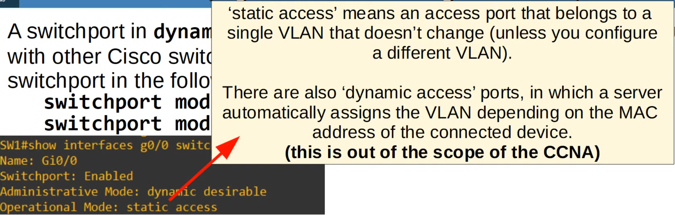 image-20230323054612807