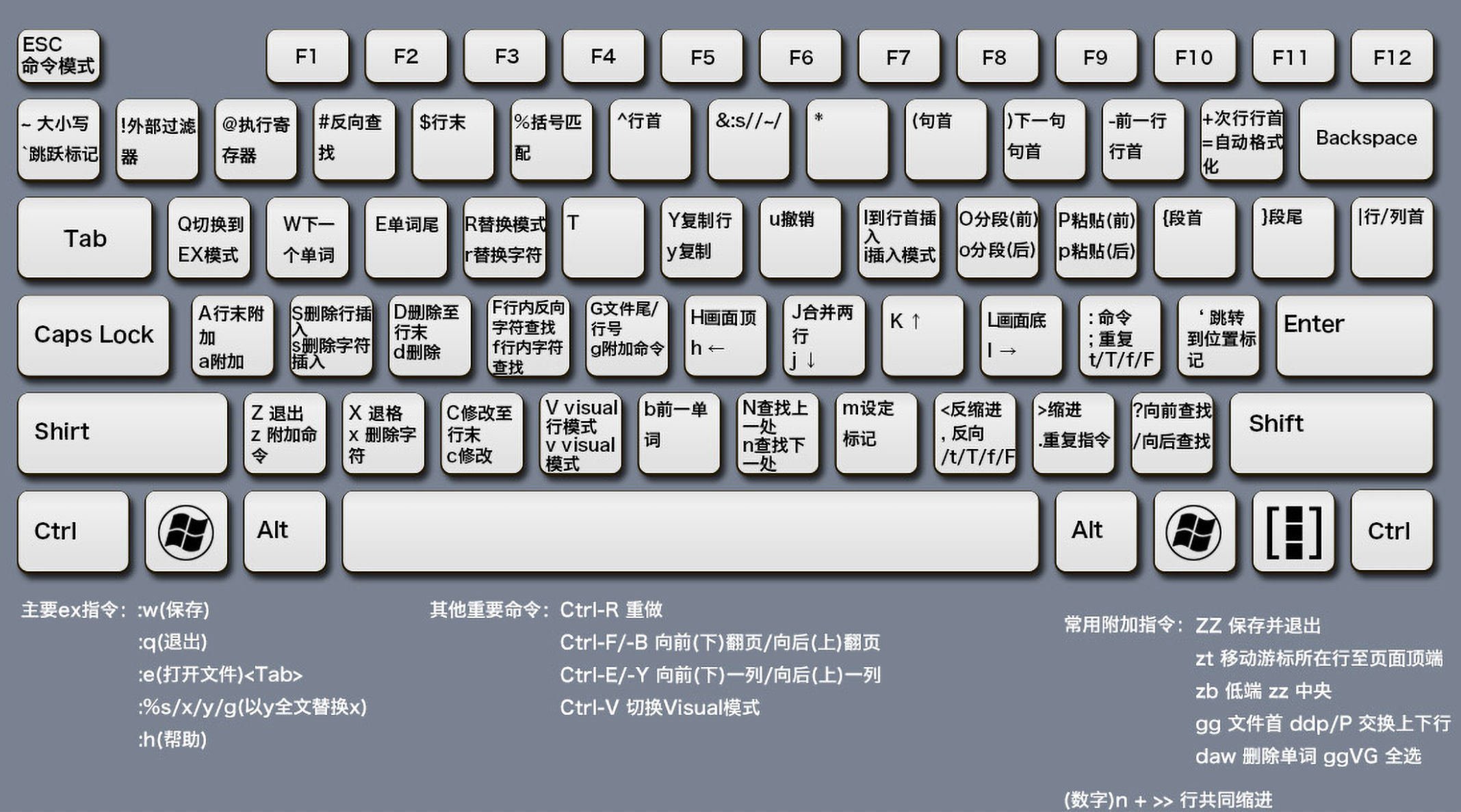 image-20230329022215876