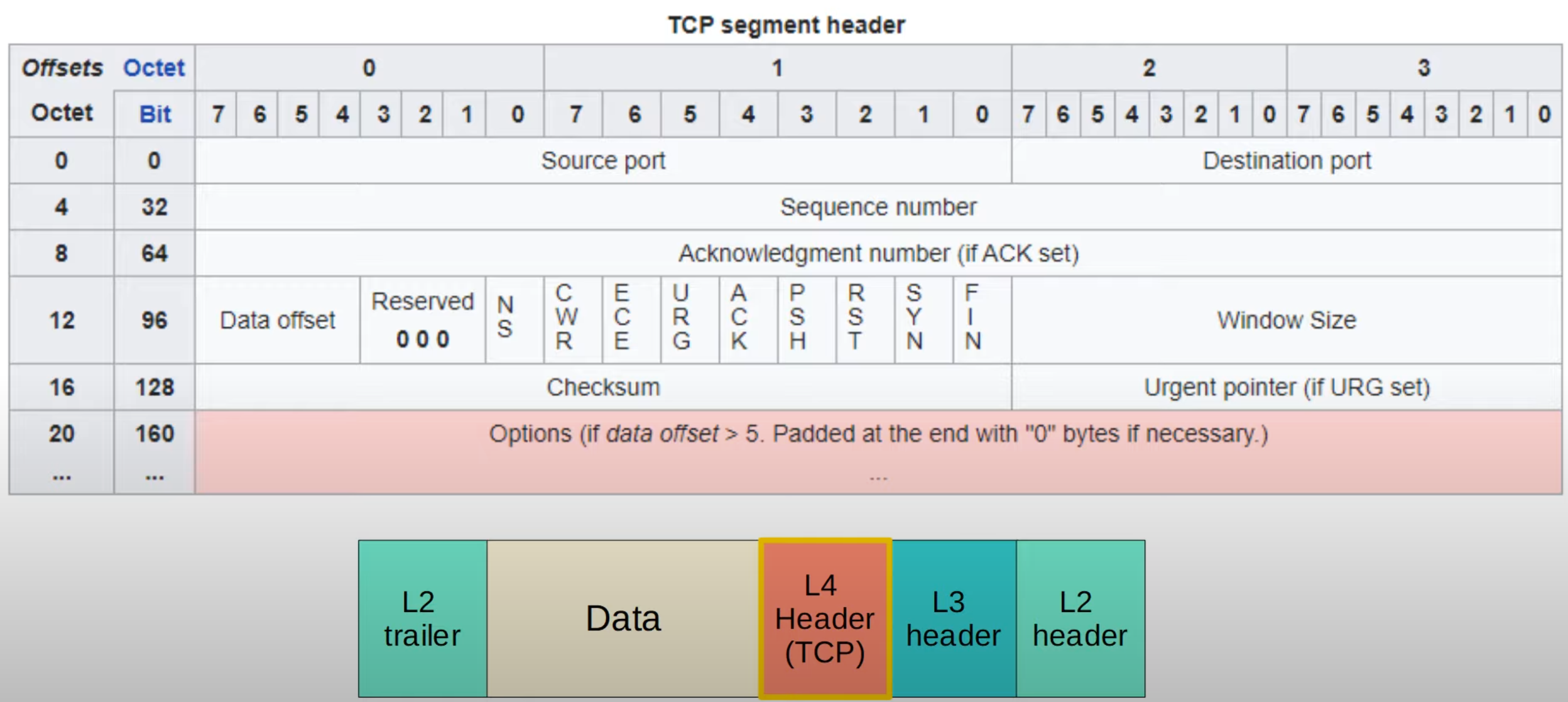 image-20230403022756007