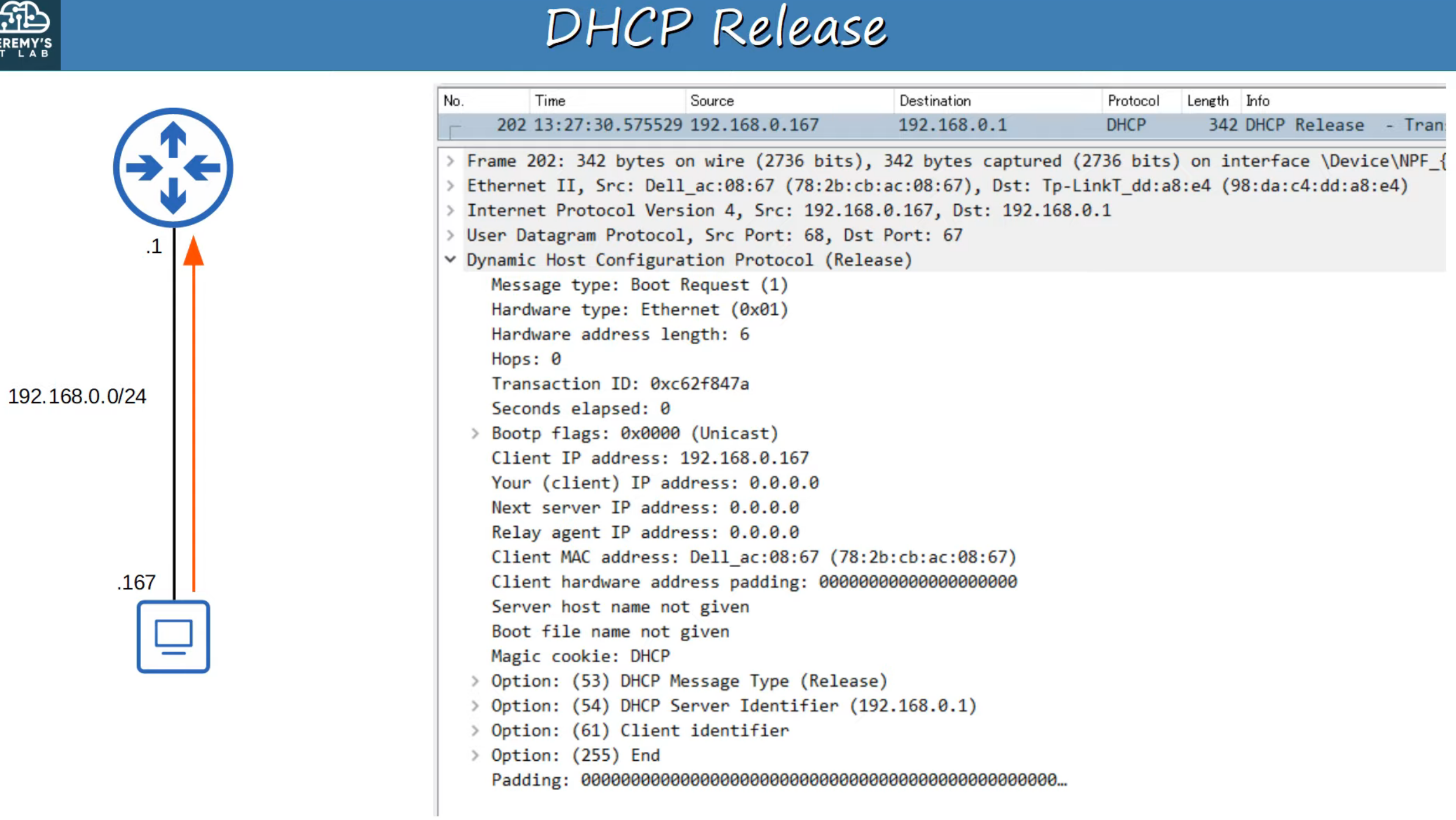 image-20230424114256182