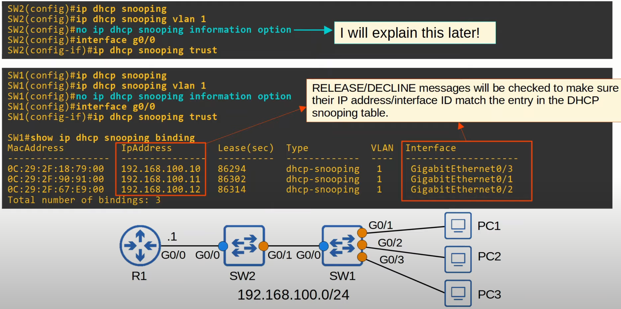 image-20230514024323977