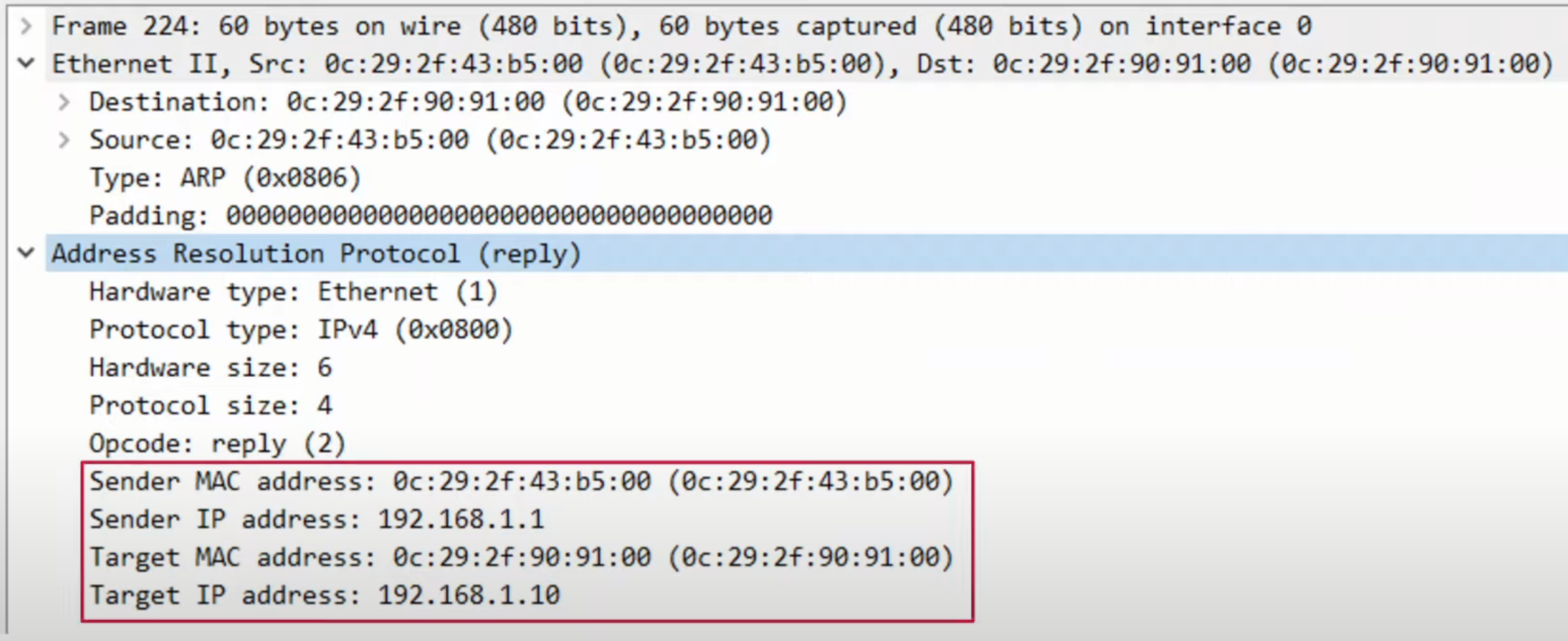 image-20230514101519847