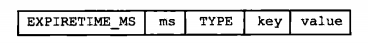 带过期时间的键值对在RDB文件中的组成