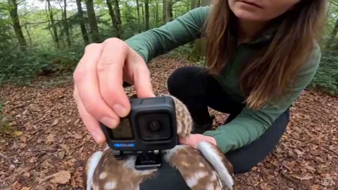 Preview for cinematic prompt by @ai_gezgini