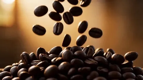 Preview for commercial prompt by @heyDhavall