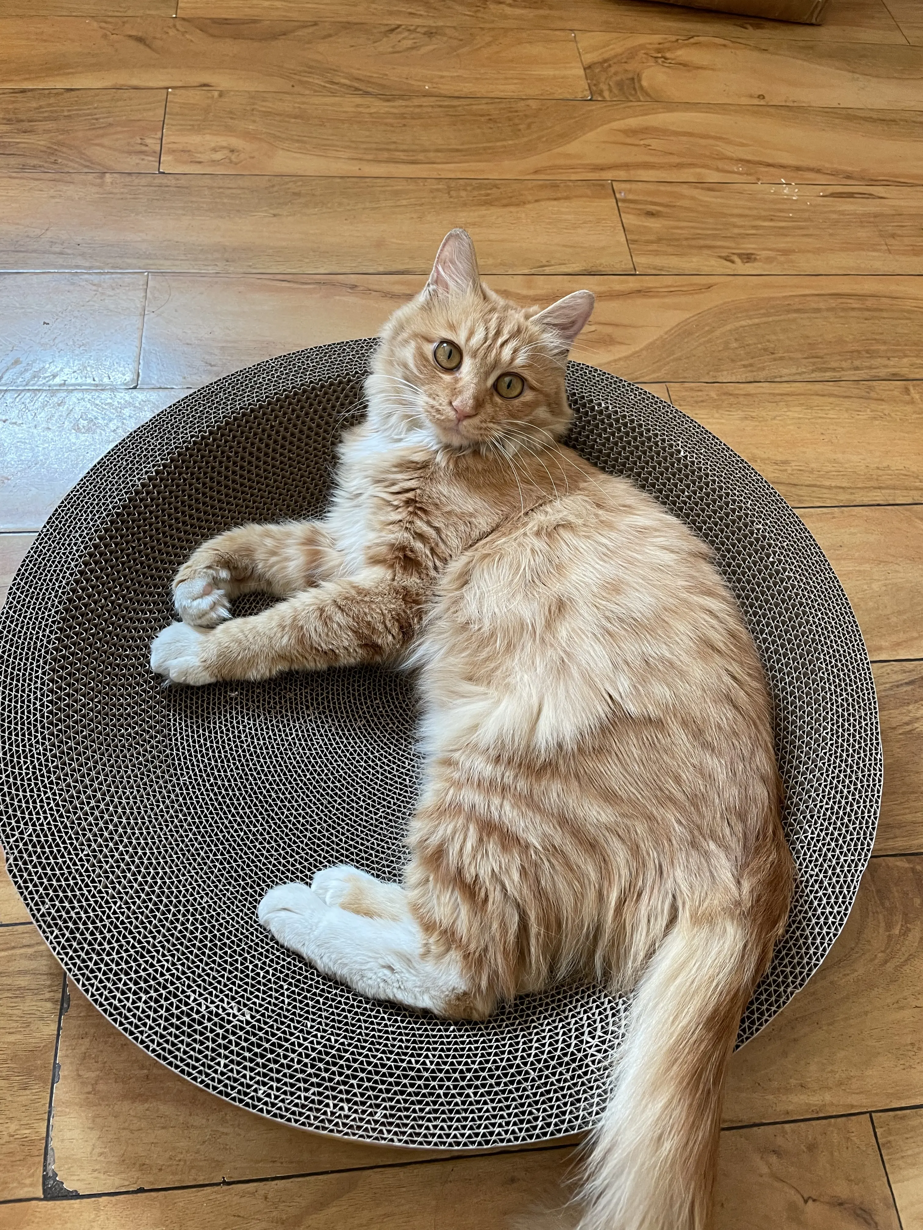 0b22fc3eb1b533f7d2426b05d1cebd1