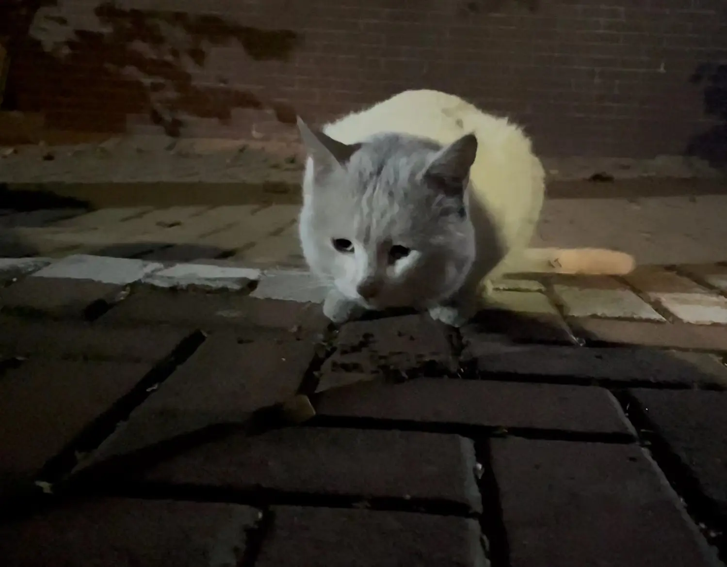 634b3a1a346da366f00201b0336b28b