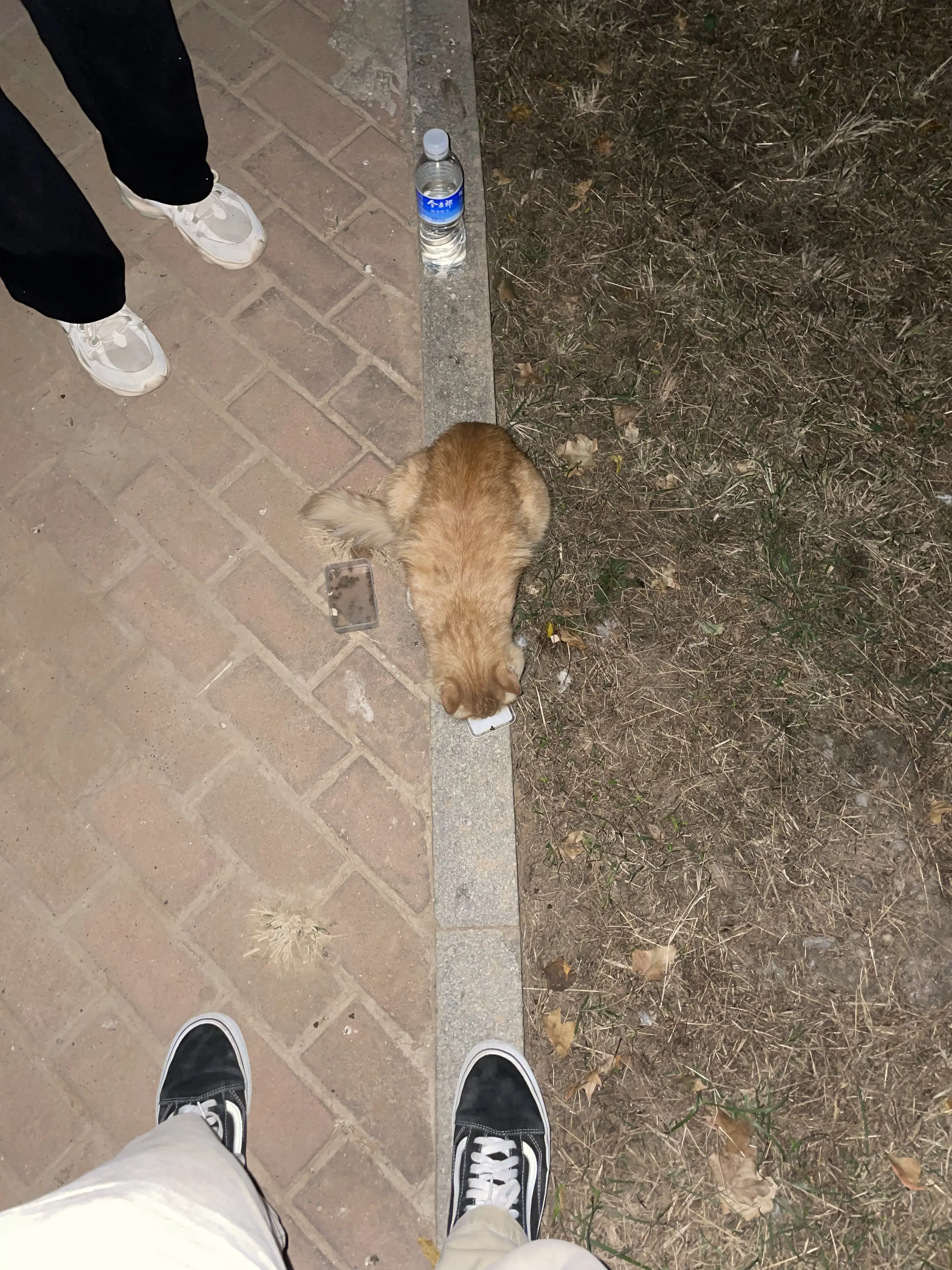 7c72892b2f87eb3e3b3002f25bf236c