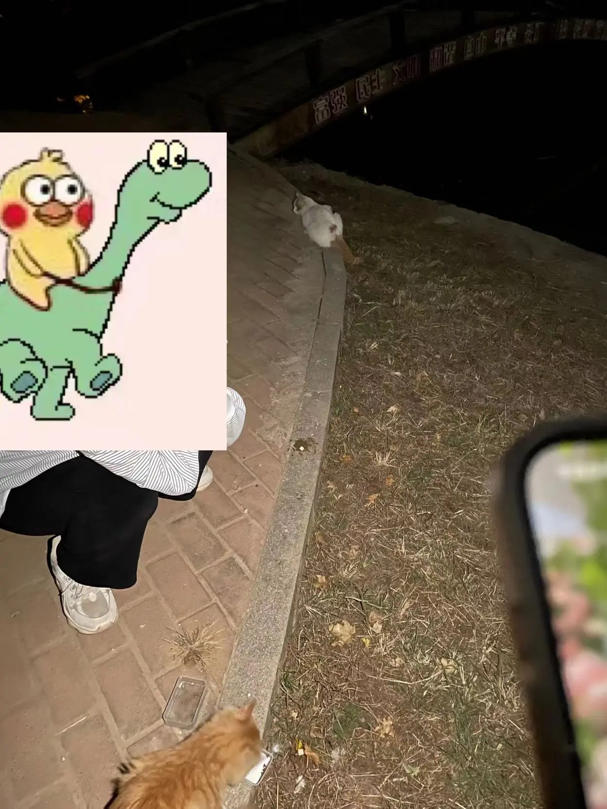 e0cd258b9d61963069e9d0ff5ad815f