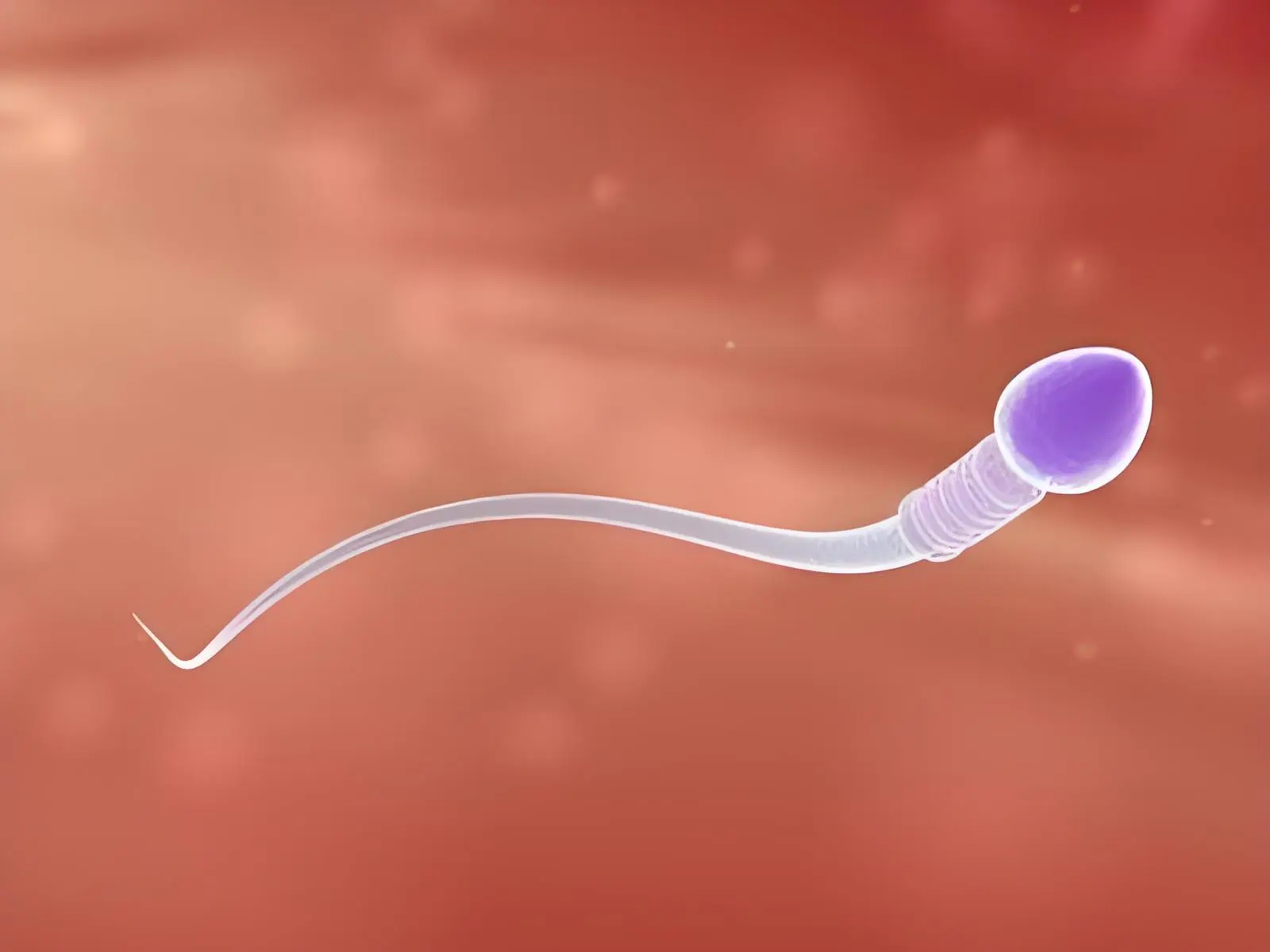 Boosting Sperm Quality for Prospective Dads: A Dietary Approach
