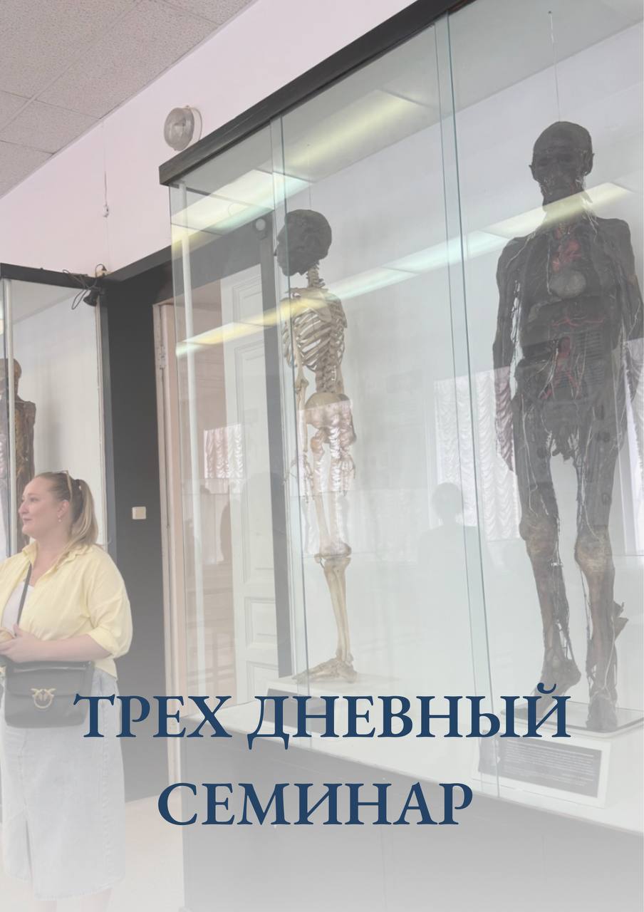 Семинар — фон