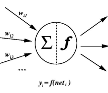 image-20241225135357469