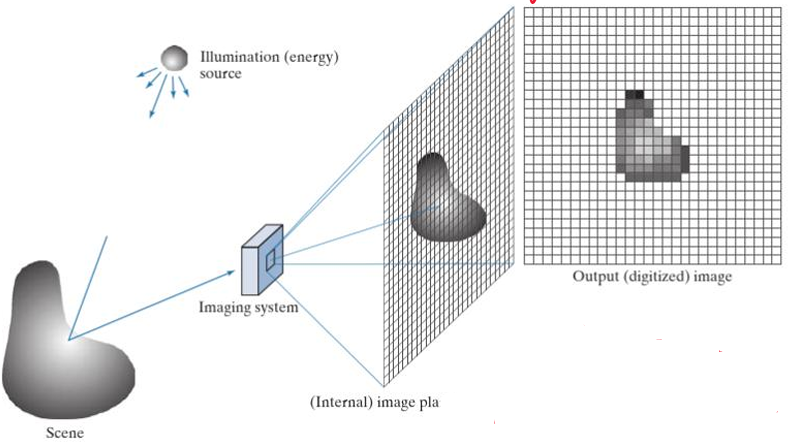 image-20241230194531784