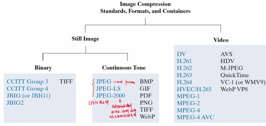 image-20241230215714690
