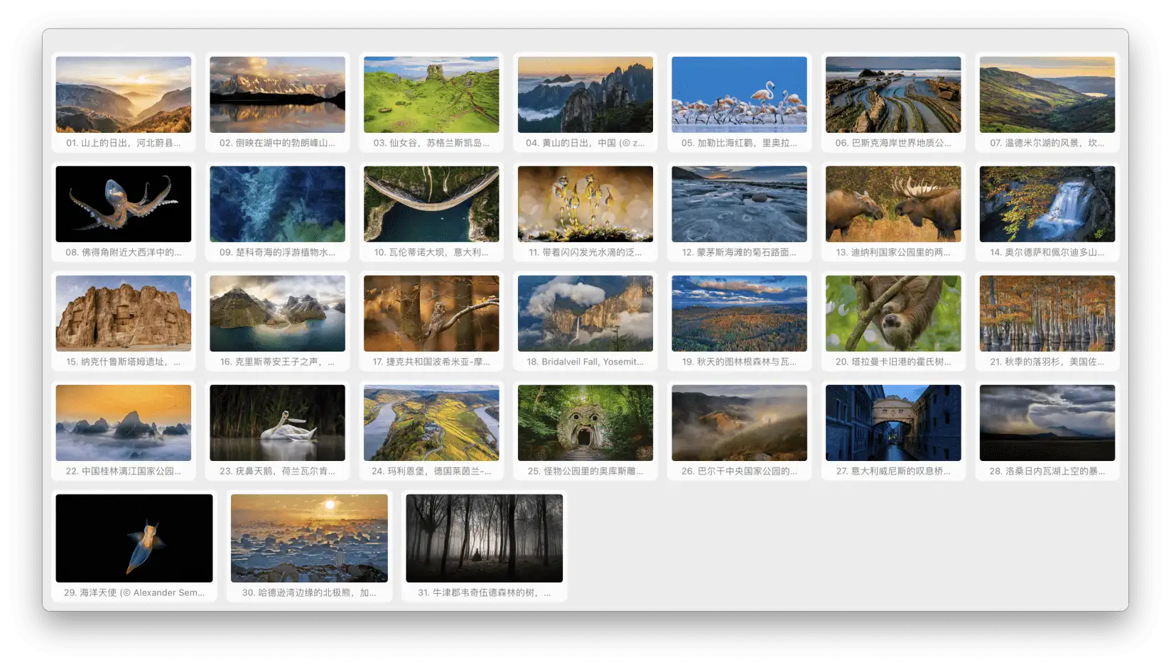 Bing wallpapers screenshot