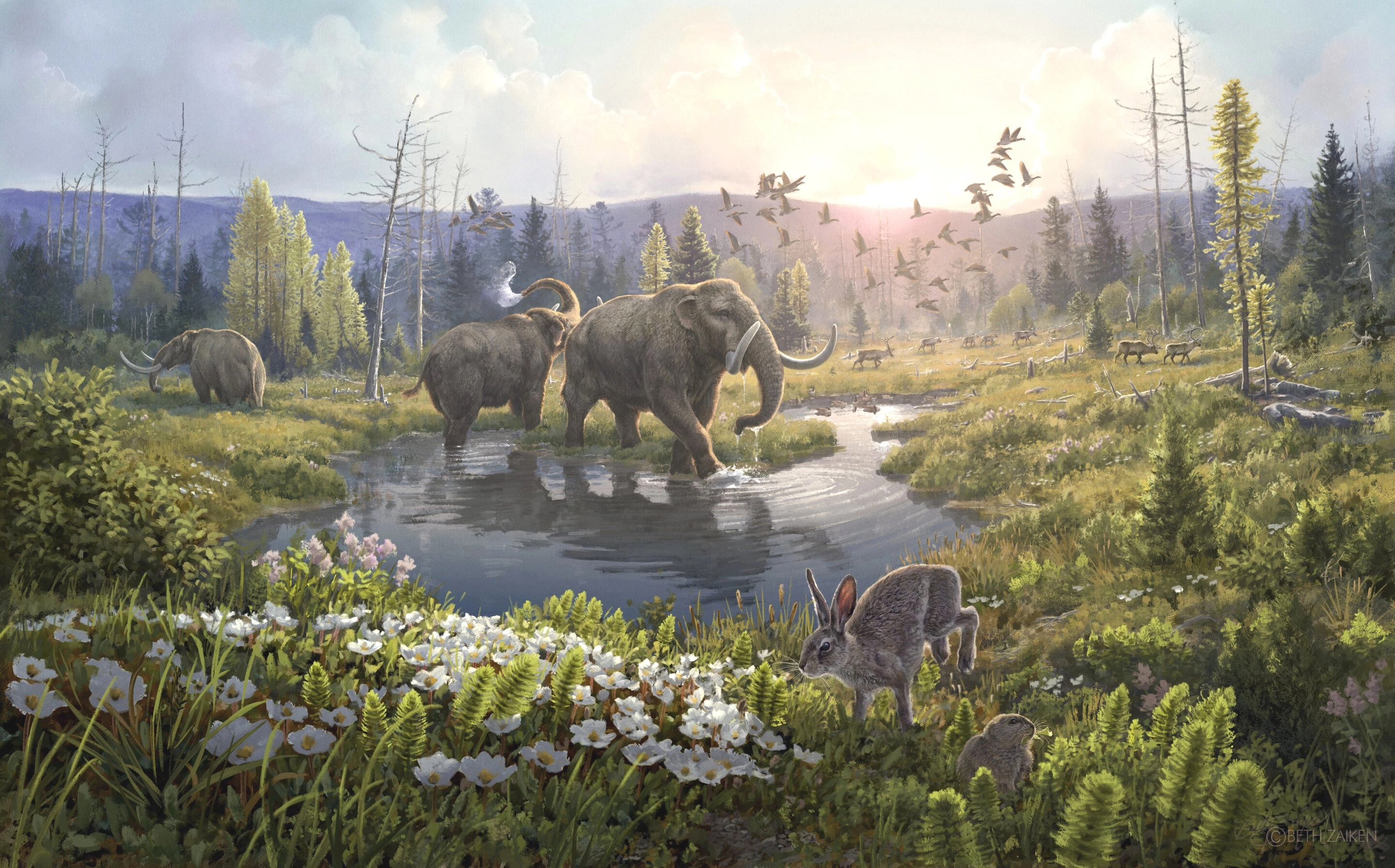 home-banner-background