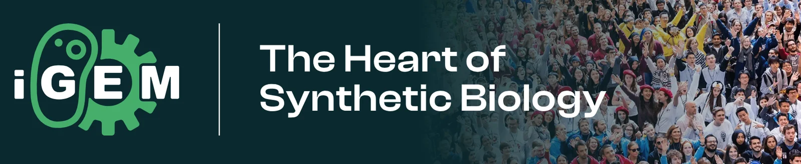 iGEM