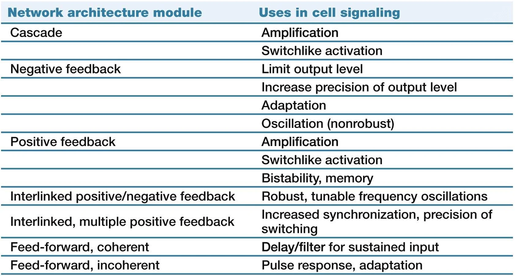 network_model