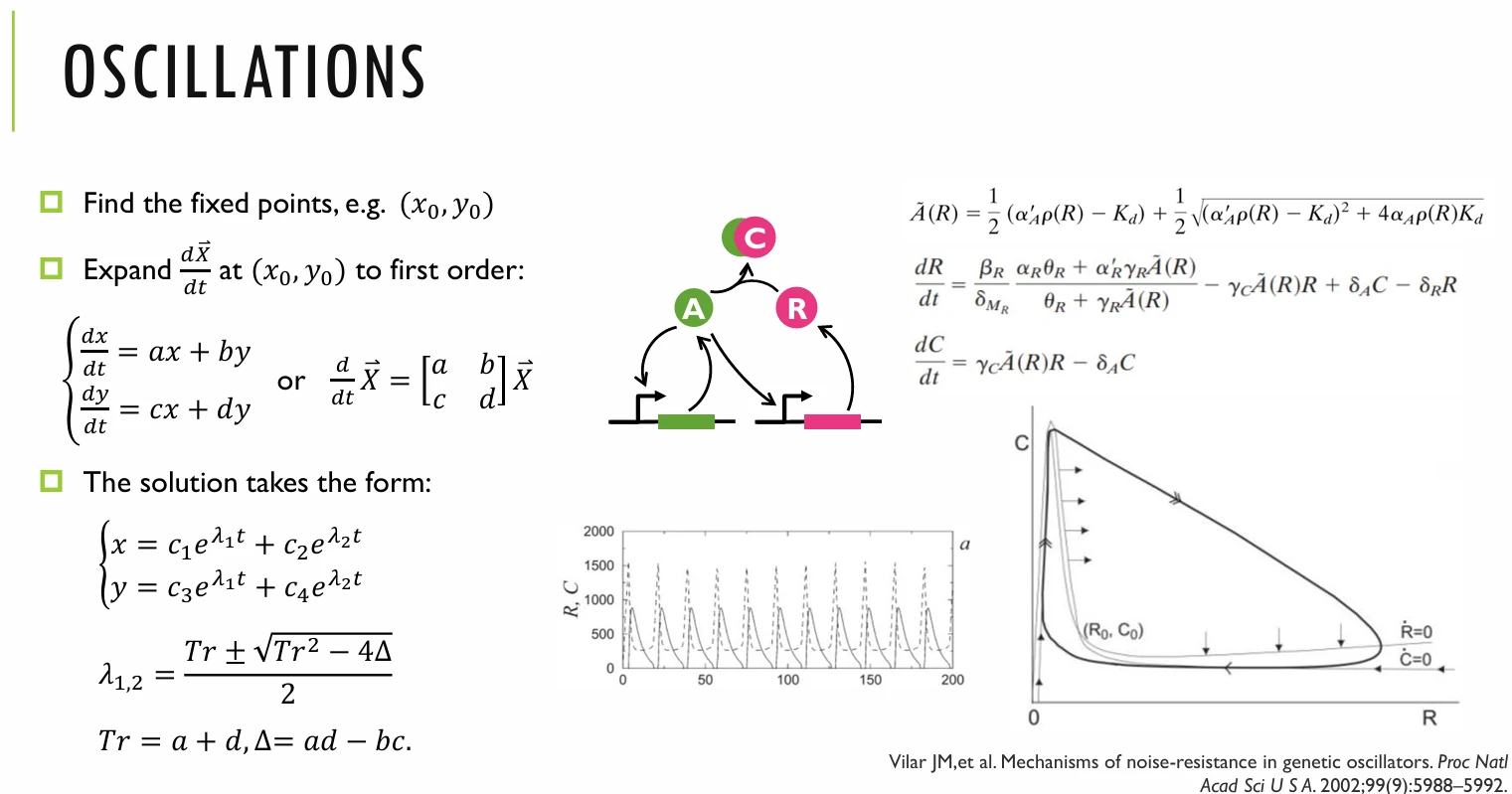 oscillation