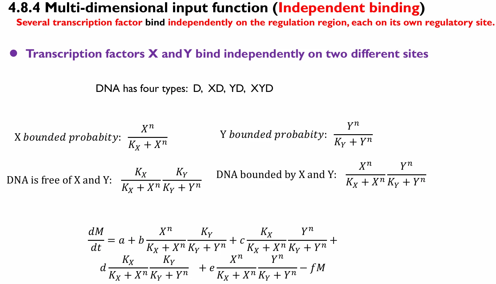 transcriptmodel4