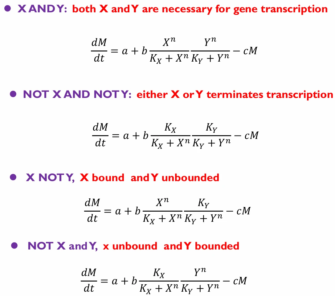 transcriptmodel5
