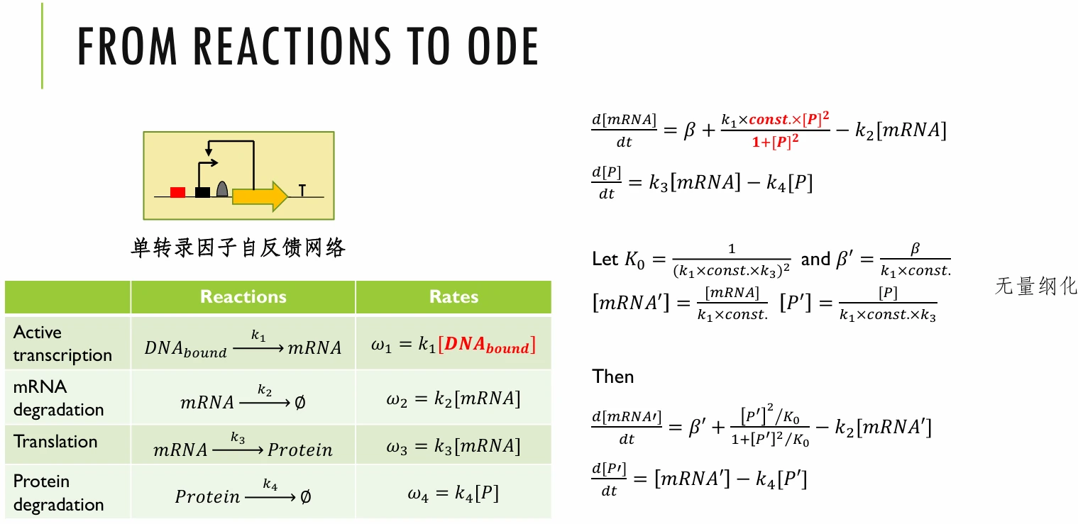 translatemodel1
