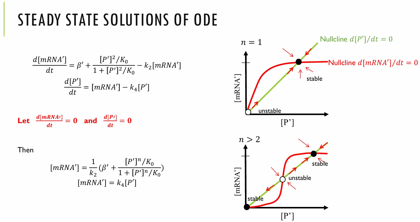 translatemodel2