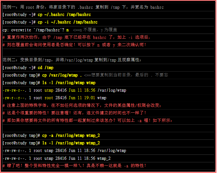 image-20200213205345601