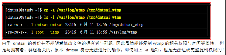 image-20200213210305522