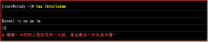 image-20200213214349626