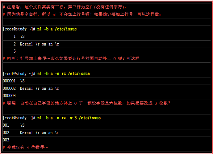 image-20200213215335744