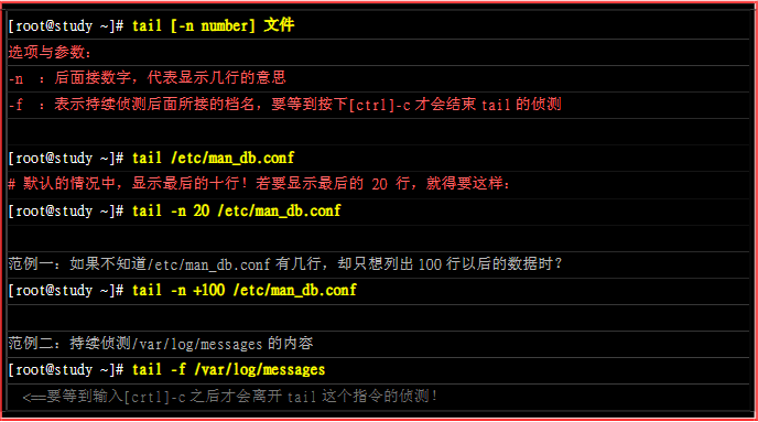 image-20200213221120485