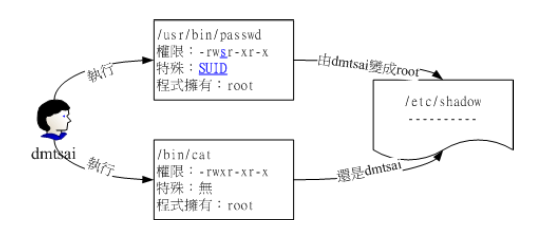image-20200214191838591