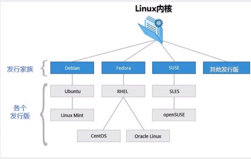 image-20210616171531263