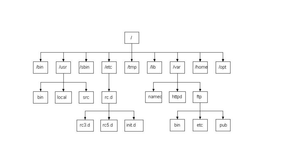 image-20210628134210730