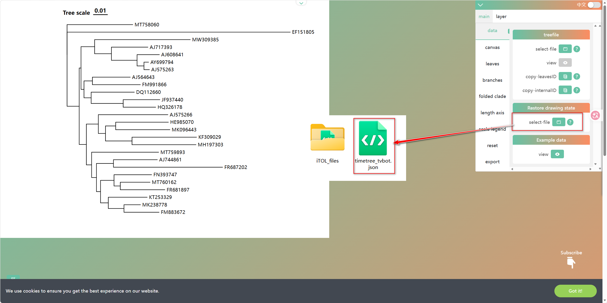 图 10.  TVBOT 中导入 PhyloSuite 生成的 JSON 注释文件