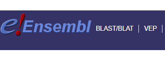 离线跑 VEP 必备:Reference FASTA 文件下载与预处理 离线跑 VEP 必备:Reference FASTA 文件下载与预处理