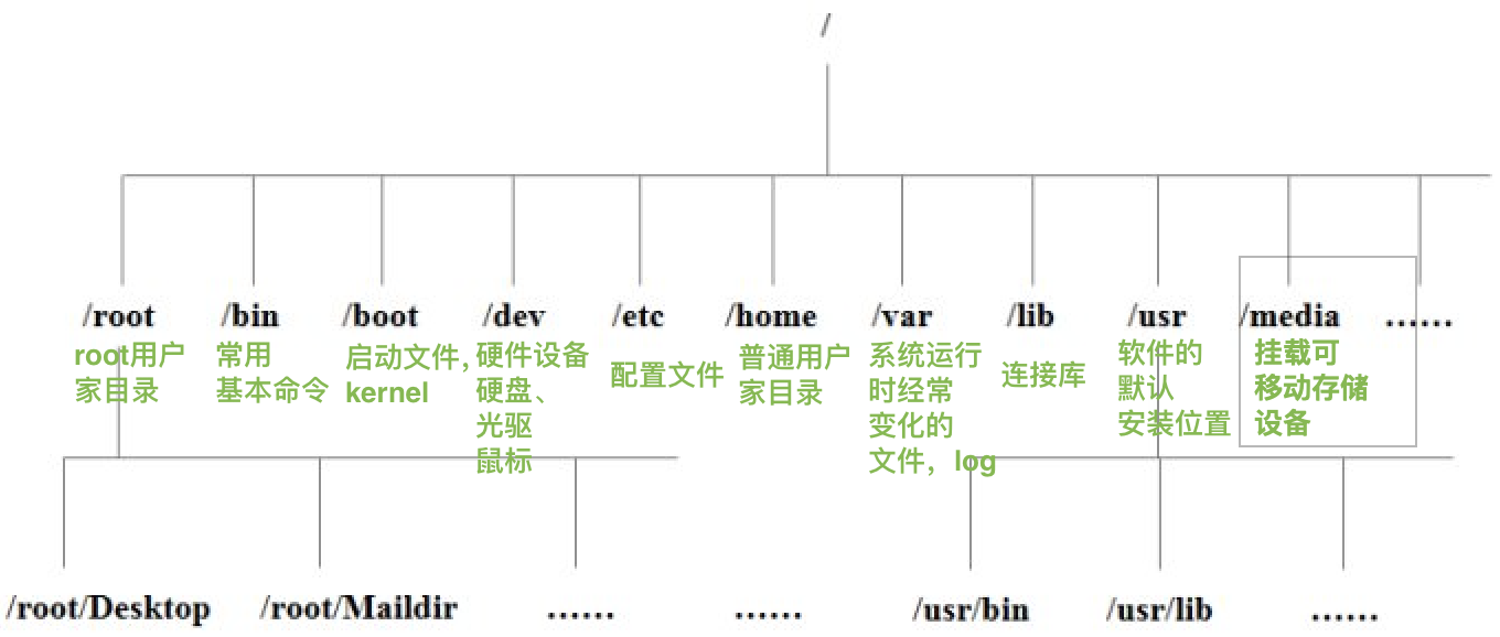 image-20210501004927526