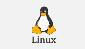 Linux 系统管理与常用指令