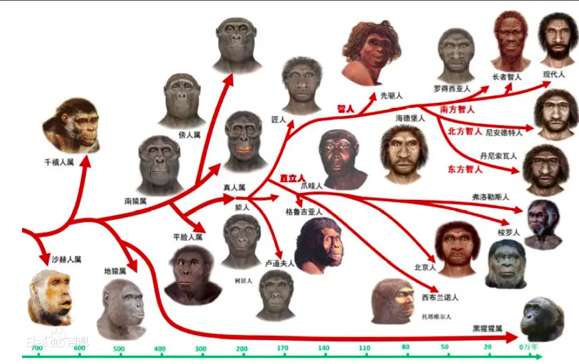 演化