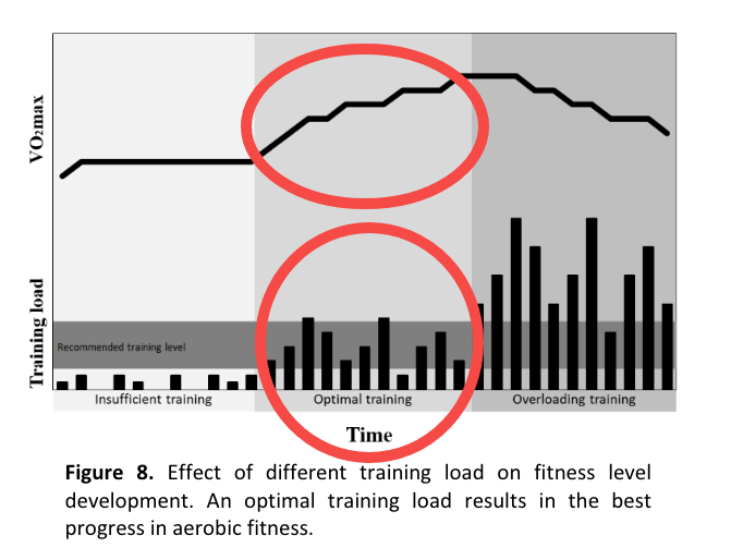 最大摄氧量持续增加意味着训练负荷在一个合理的区间