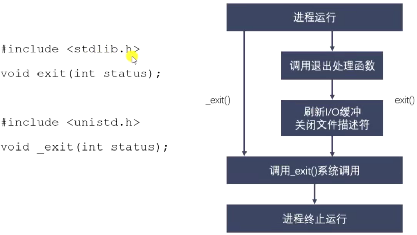 image-20240425124936108