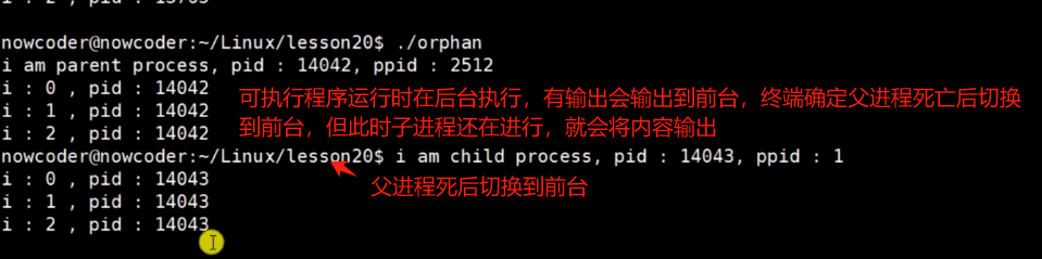 image-20240425133450437