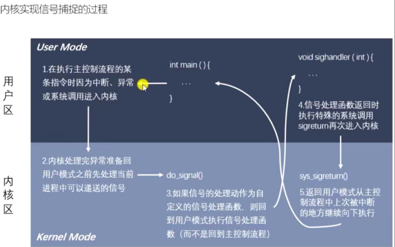 image-20240515134207766